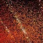 Confetti cloud